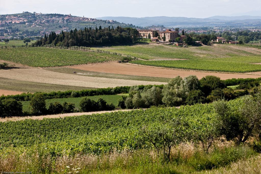 Penzion Tenuta Di Petriolo Torrita di Siena Exteriér fotografie
