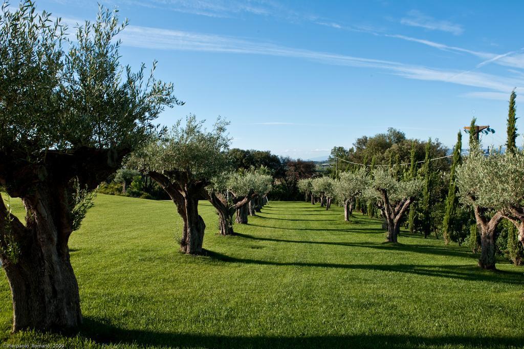 Penzion Tenuta Di Petriolo Torrita di Siena Exteriér fotografie