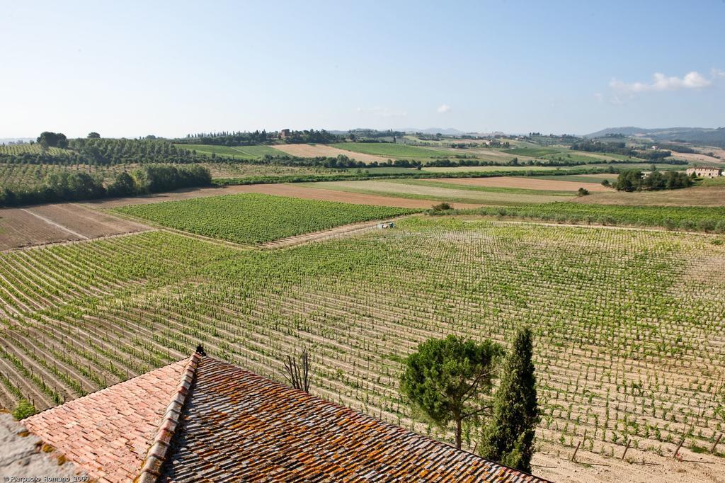 Penzion Tenuta Di Petriolo Torrita di Siena Exteriér fotografie