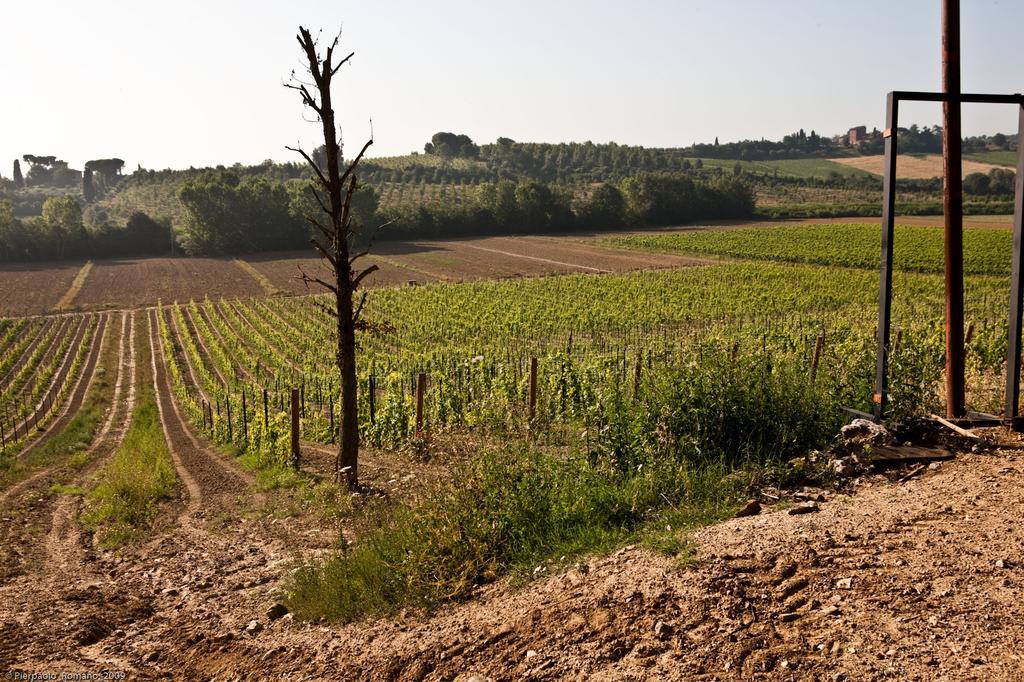 Penzion Tenuta Di Petriolo Torrita di Siena Exteriér fotografie
