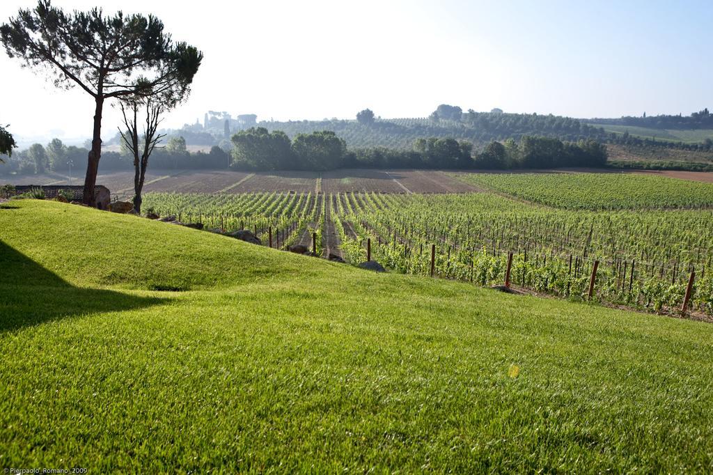 Penzion Tenuta Di Petriolo Torrita di Siena Exteriér fotografie